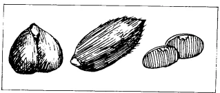 Reading about a process