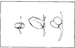 Reading about a process