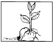 Reading about a process