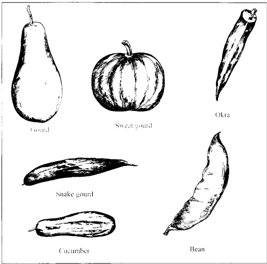 Reading descriptions 2