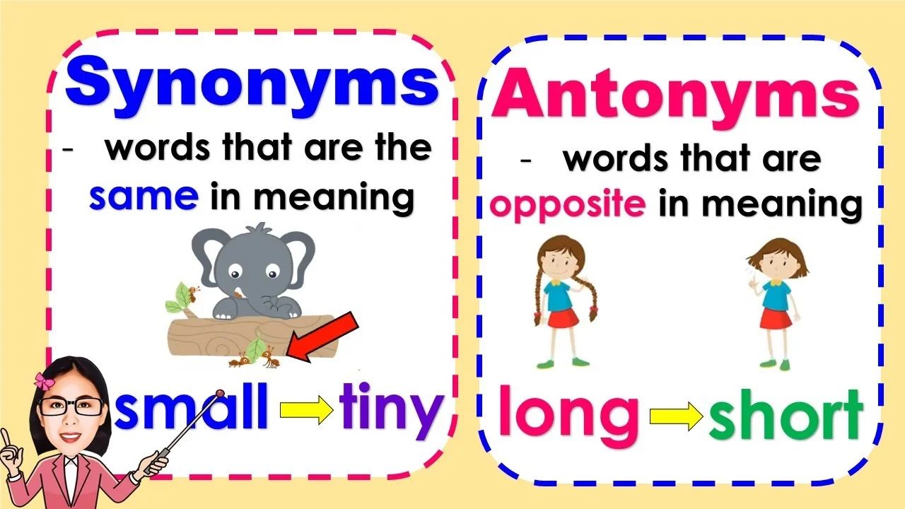 Synonym Antonym 1 Synonym and Antonym | English Grammar