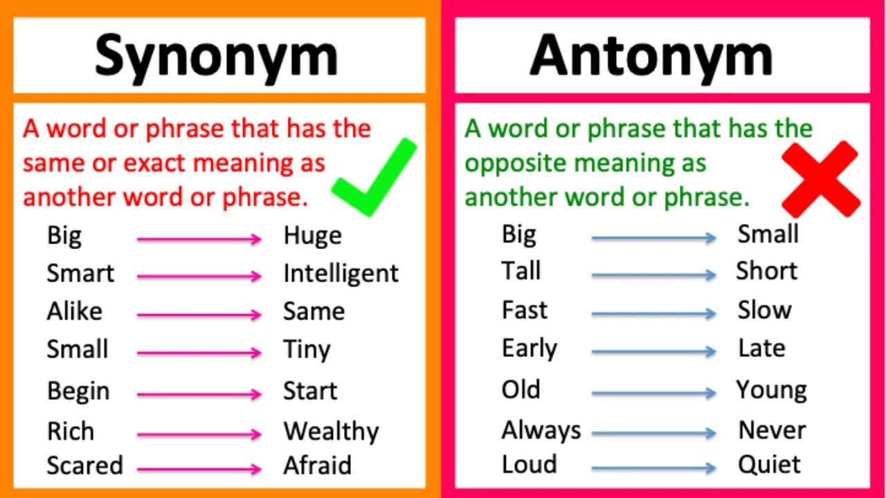 synonym and antonym